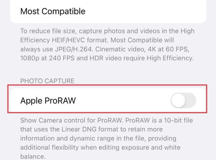 Turn on the Apple ProRaw feature.