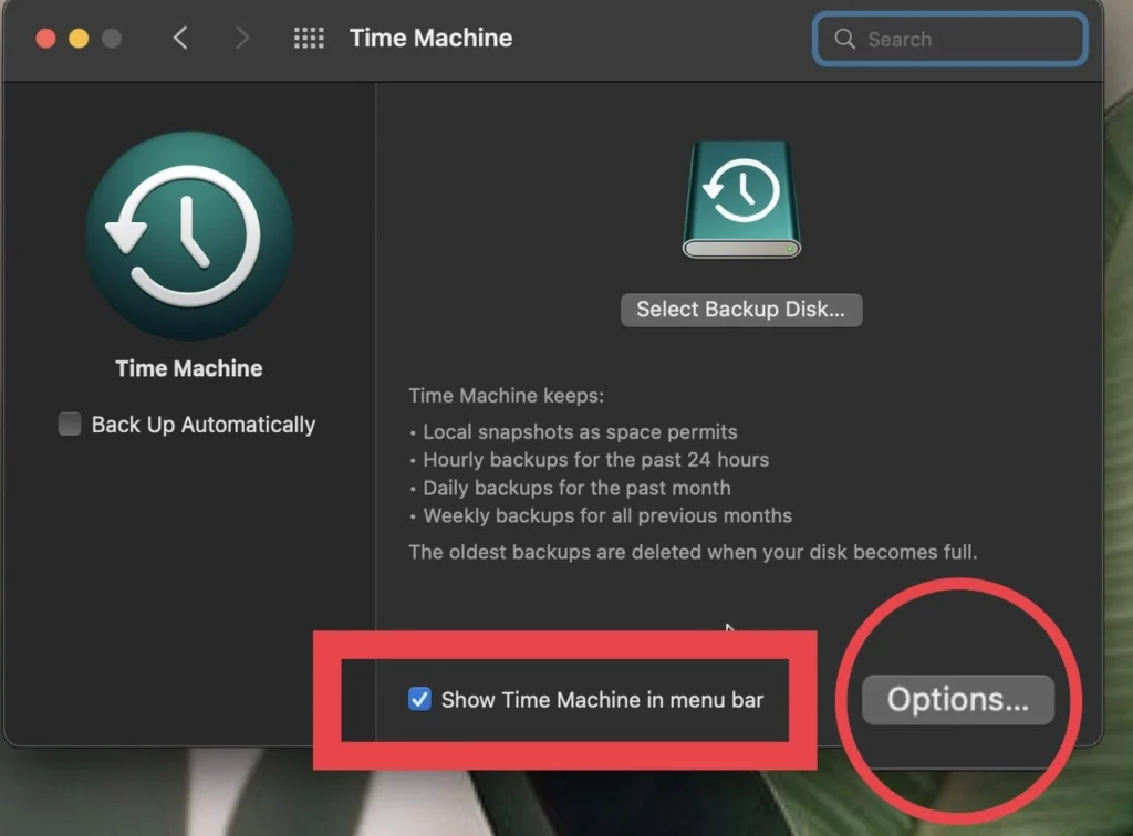 Tick the "Show time Machine in menu bar" and tap on "Options"