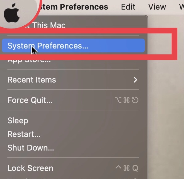 Select "System Preferences" from  menu.