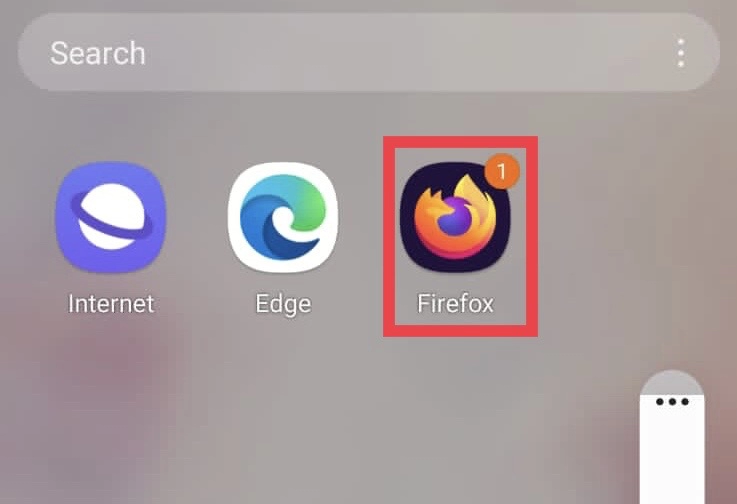 Open the Mozilla Firefox app.