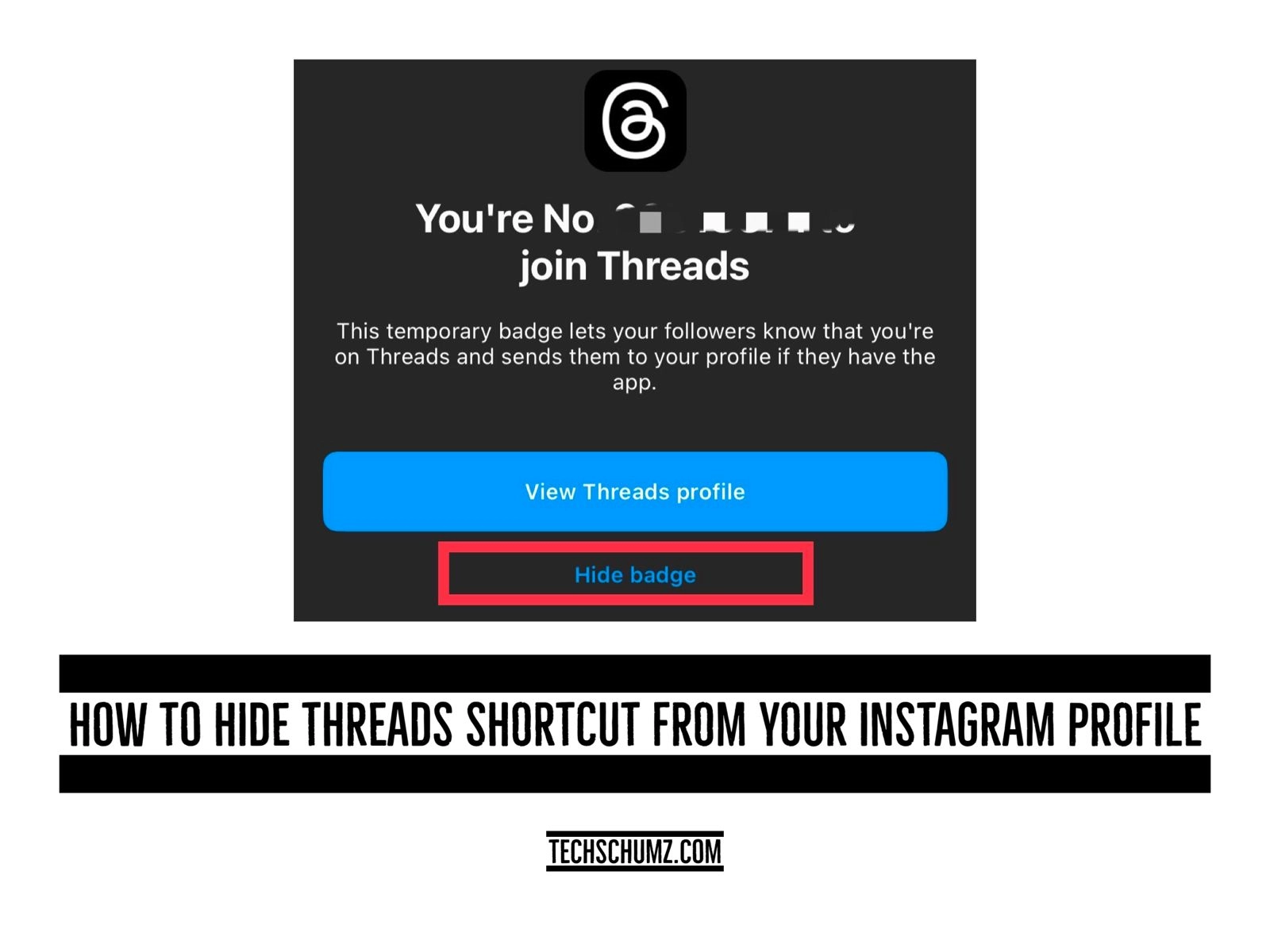 how-to-hide-thread-shortcuts-from-your-instagram-profile-techschumz