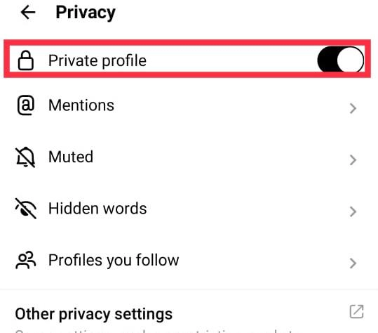 Then tap to turn on Private Profile.