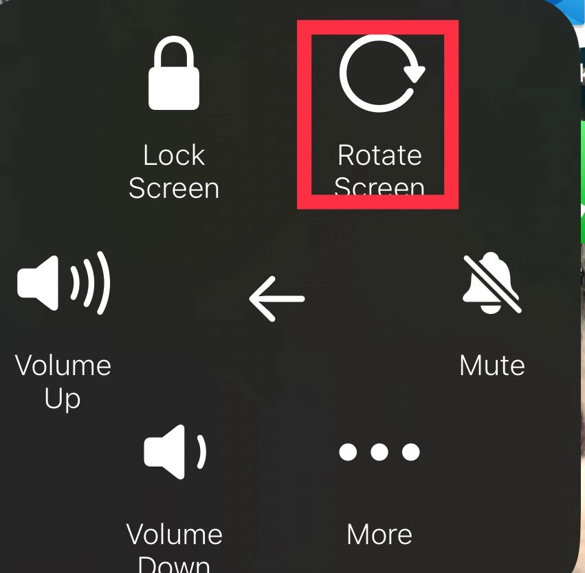 Tap on Rotate Screen.