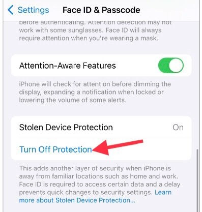 Tap to turn off Protection.