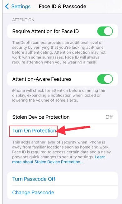 Tap to turn on Protection.