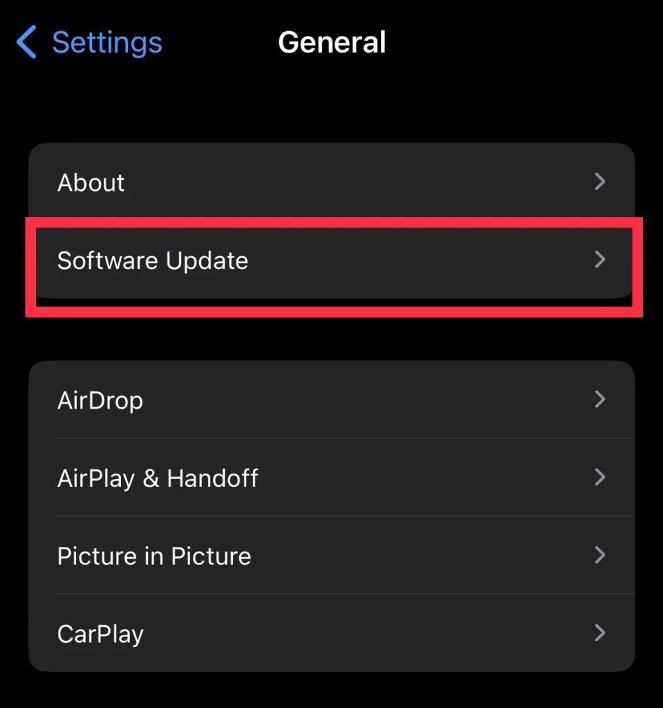 Tap on Software Update from the General menu.